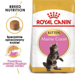 ROYAL CANIN Maine Coon Kitten karma sucha dla kociąt, do 15 miesiąca, rasy maine coon 4 kg