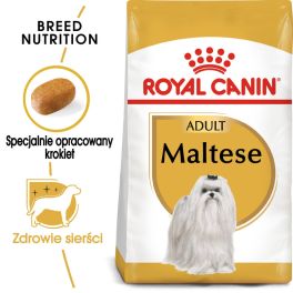 ROYAL CANIN Maltese Adult karma sucha dla psów dorosłych rasy maltańczyk 500 g