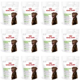 ROYAL CANIN Digestion Adult Dog Supplements 12x160g suplement na prawidłowe trawienie dla dorosłych psów