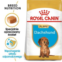 ROYAL CANIN Dachshund Puppy Junior karma sucha dla szczeniąt do 10 miesiąca, rasy jamnik  1.5 kg
