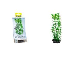 TETRA DecoArt Plant M Anacharis 23 cm