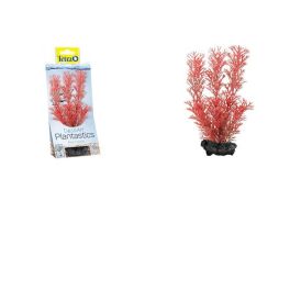 TETRA DecoArt Plant M Foxtail Red 23 cm