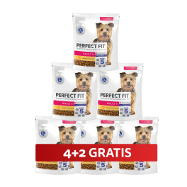 PERFECT FIT Adult 1+ sucha karma pełnoporcjowa dla dorosłych psów małych ras bogata w kurczaka 6 x 825 g 4+2 GRATIS