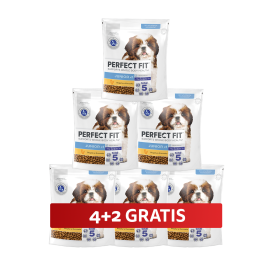 PERFECT FIT Junior <1 sucha karma pełnoporcjowa dla szczeniąt małych ras bogata w kurczaka 6 x 825 g 4+2 GRATIS