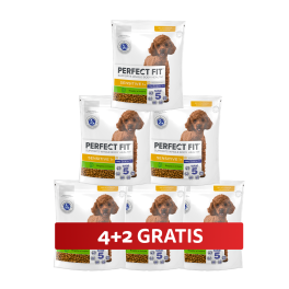 PERFECT FIT Sensitive 1+ sucha karma pełnoporcjowa dla dorosłych psów małych ras bogata w indyka 6 x 825 g 4+2 GRATIS