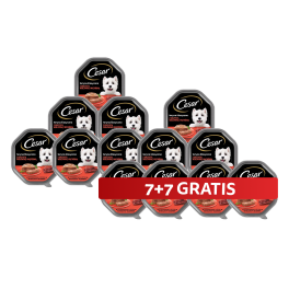 CESAR tacka 14 x 150 g  mokra karma pełnoporcjowa dla dorosłych psów teryna z soczystą wołowiną i wątróbką 7+7 GRATIS