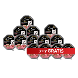 CESAR tacka 14 x 150 g mokra karma pełnoporcjowa dla dorosłych psów teryna z delikatną cielęciną i drobiem 7+7 GRATIS