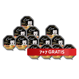 CESAR tacka 14 x 150 g mokra karma pełnoporcjowa dla dorosłych psów w sosie z kurczakiem warzywami i pietruszką 7+7 GRATIS