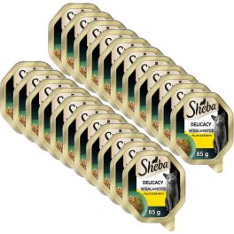 SHEBA Delicacy z kurczakiem w galaretce 22x85 g mokra karma dla kotów