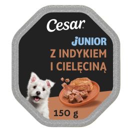 CESAR Junior z Indykiem i cielęciną 150g mokra karma dla szczeniąt