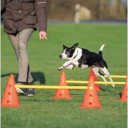 TRIXIE Tor przeszkód dla psa Dog Activity, zestaw 3 części