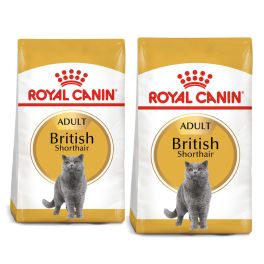 ROYAL CANIN British Shorthair karma sucha dla kotów dorosłych rasy brytyjski krótkowłosy 20 kg (2 x 10 kg)