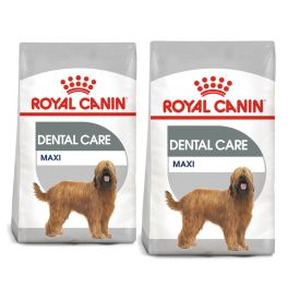ROYAL CANIN CCN Maxi Dental Care karma sucha dla psów dorosłych, ras dużych, redukująca powstawanie kamienia nazębnego 18 kg (2 x 9 kg)