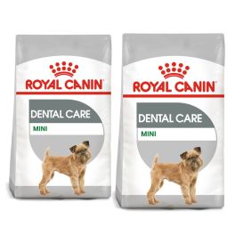ROYAL CANIN CCN Mini Dental Care karma sucha dla psów dorosłych, ras małych, redukująca powstawanie kamienia nazębnego 16 kg (2 x 8 kg)