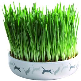 TRIXIE Miska ceramiczna 15 x 4 cm na trawę dla Kota