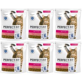 PERFECT FIT Active 1+ 6x750 g sucha karma pełnoporcjowa dla dorosłych kotów bogata w wołowinę