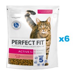 PERFECT FIT Active 1+ 6x750 g sucha karma pełnoporcjowa dla dorosłych kotów bogata w wołowinę