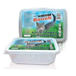 BENEK Kocia trawka szybkorosnąca duet pojemnik dzielony