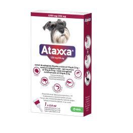 KRKA ATAXXA 1250 mg/250 mg roztwór do nakrapiania dla psów o masie od 10 kg do 25 kg
