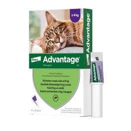 BAYER ADVANTAGE Roztwór do nakrapiania dla kotów powyżej 4 kg (4 x 0,8 ml)