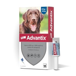 BAYER ADVANTIX Roztwór do nakrapiania dla psów od 25 do 40 kg (1 x 4 ml)