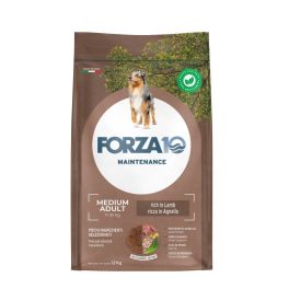 FORZA10 Medium Adult Maintenance Lamb Rice dla psów średnich ras 12 kg