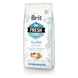BRIT Fresh fish with pumpkin adult large 2,5 kg