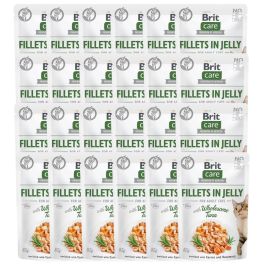 BRIT Care Fillets in Jelly tuńczyk saszetki dla kota 24 x 85 g