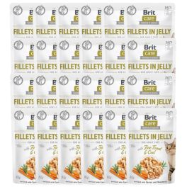 BRIT Care Fillets in Jelly with Fine Trout & Cod 24 x 85 g Dorsz i pstrąg