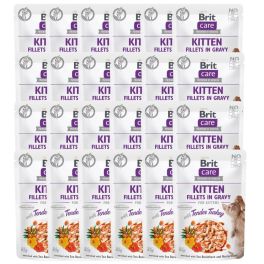 BRIT Care Fillets in gravy with tender turkey 24 x 85 g indyk w sosie