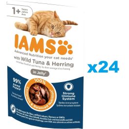 IAMS Cat Adult All Breeds Tuna & Herring In Jelly tuńczyk i śledź w galaretce 24x85g