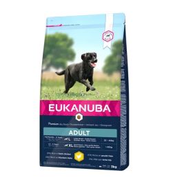 EUKANUBA Active Adult Large Breed bogata w świeżego kurczaka 18kg