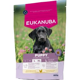 EUKANUBA Puppy Large Breeds Chicken 800 g sucha karma dla szczeniąt dużych ras bogata w świeżego kurczaka