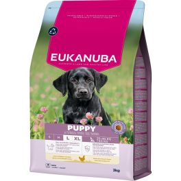 EUKANUBA Puppy Large Breeds Chicken 3 kg sucha karma dla szczeniąt dużych ras bogata w świeżego kurczaka