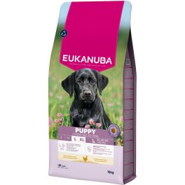 EUKANUBA Puppy Large Breeds Chicken 15 kg sucha karma dla szczeniąt dużych ras bogata w świeżego kurczaka