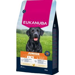 EUKANUBA Junior Large Breeds Chicken 15 kg sucha karma dla młodych psów dużych ras bogata w świeżego kurczaka
