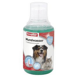 BEAPHAR Mundwasser 250 ml płyn do pielęgnacji jamy ustnej i zębów dla psów i kotów