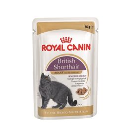 ROYAL CANIN British Shorthair karma mokra w sosie dla kotów dorosłych rasy brytyjski krótkowłosy 12x85 g