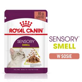ROYAL CANIN Sensory Smell gravy 48x85 g kawałki w sosie dla kotów dorosłych pobudzające wrażenia węchowe