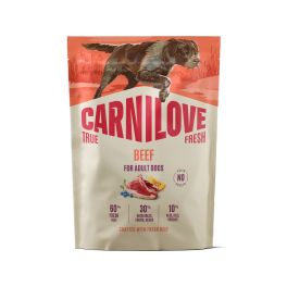 CARNILOVE True Fresh Dog Beef Adult 1,5 kg sucha karma ze świeżą wołowiną dla dorosłych psów
