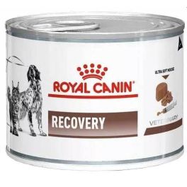 ROYAL CANIN Vet dog/cat recovery 24x195 g mokra karma dla psów i kotów w okresie intensywnej terapii i po zabiegach chirurgicznych, w okresie rekonwalescencji