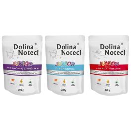 DOLINA NOTECI Junior Premium Mix smaków 12x300g