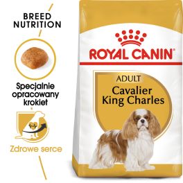 ROYAL CANIN Cavalier King Charles Spaniel Adult 2x1.5 kg karma sucha dla psów dorosłych rasy cavalier king charles spaniel