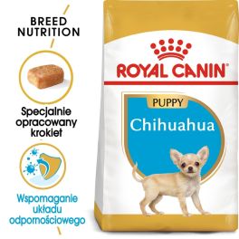 ROYAL CANIN Chihuahua Puppy junior 12x500 g karma sucha dla szczeniąt do 10 miesiąca rasy chihuahua