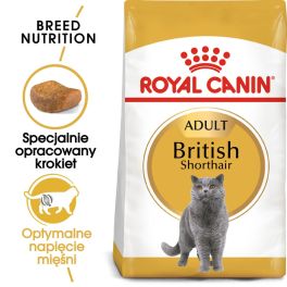 ROYAL CANIN British Shorthair karma sucha dla kotów dorosłych rasy brytyjski krótkowłosy 6x400 g