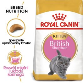 ROYAL CANIN British Shorthair Kitten 12x400 g karma sucha dla kociąt, do 12 miesiąca, rasy brytyjski krótkowłosy