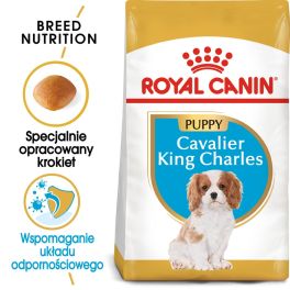 ROYAL CANIN Cavalier King Charles Spaniel Puppy karma sucha dla szczeniąt do 10 miesiąca, rasy cavalier king charles spaniel 1,5 kg