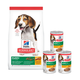 HILL'S Science Plan Puppy <1 Medium breed sucha karma z kurczakiem 14 kg + 3 puszki GRATIS