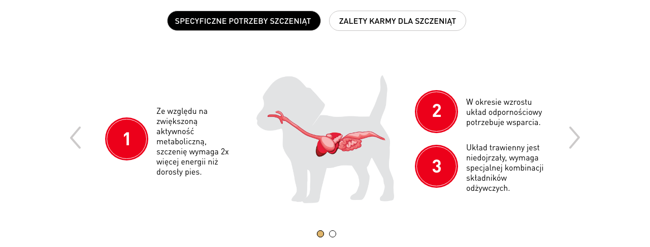 ROYAL CANIN Labrador Retriever Puppy Junior karma sucha dla szczeniąt do 15 miesiąca, rasy labrador retriever