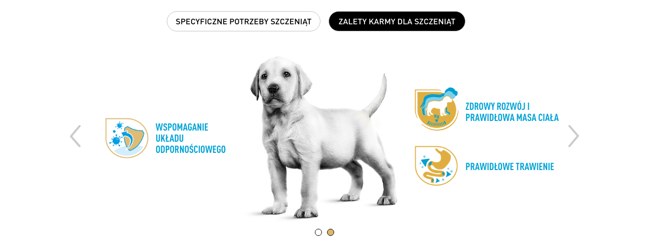 ROYAL CANIN Labrador Retriever Puppy Junior karma sucha dla szczeniąt do 15 miesiąca, rasy labrador retriever